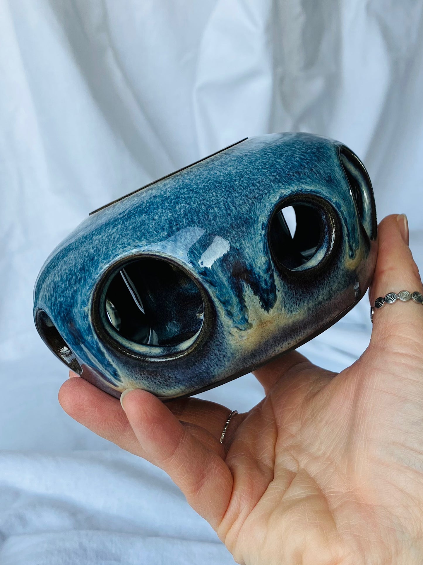 Double walled cactus pot